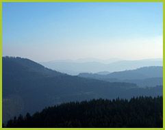 Black Forrest Panorama