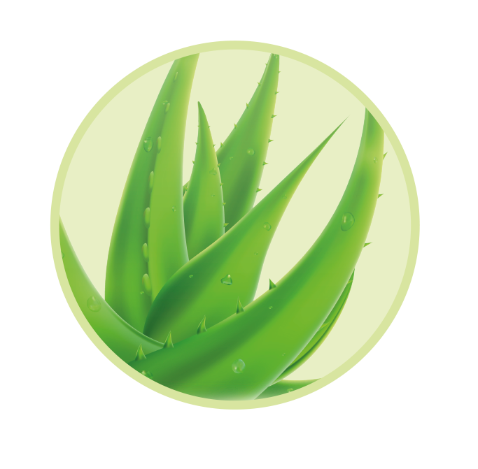 t/img/icons/AloeVera_Hygienespray.png