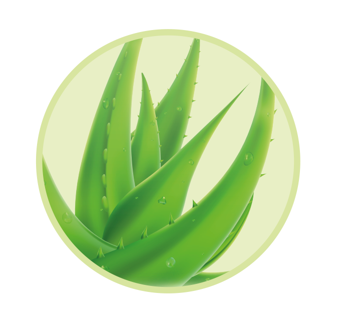/img/icons/AloeVera_Hygienespray.png t/img/icons/AloeVera_Hygienespray.png