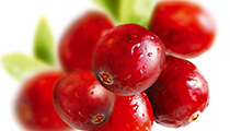 Cranberry – small and sour, but full of power