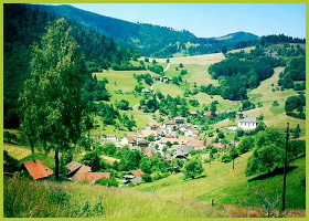 Black Forest