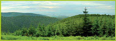Black Forest